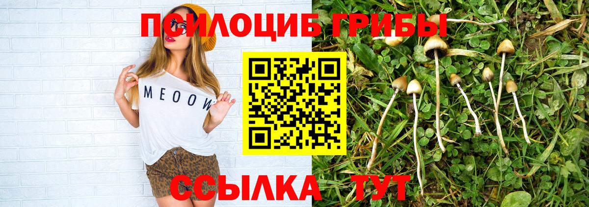 Псилоцибиновые грибы Magic Shrooms Великие Луки